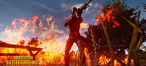 发展联盟的 发展联盟的